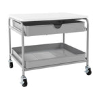 Chariot de rangement et d'imprimante sous bureau avec paniers coulissants – Cadre en acier, 4 roulettes, capacité de 22,7 kg