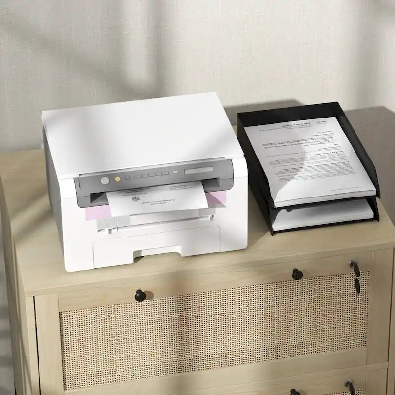 Meuble de classement à 2 tiroirs avec serrure et clés, tiroirs en rotin et barre de suspension réglable pour papier format lettre, A4 et légal, couleur naturelle